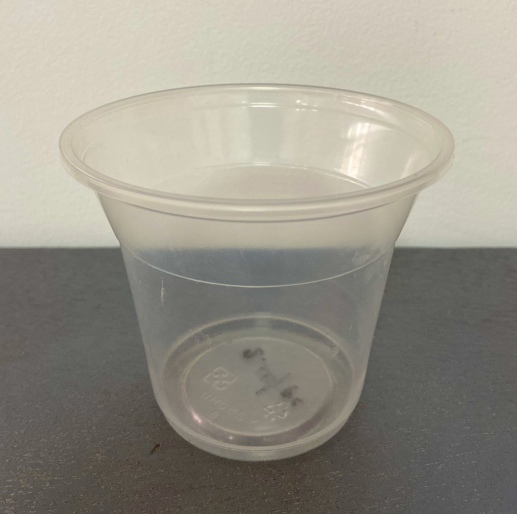 Sundae Plastic Cup, 8 oz, 100 pcs